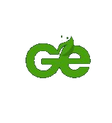 Green Express LLC logo